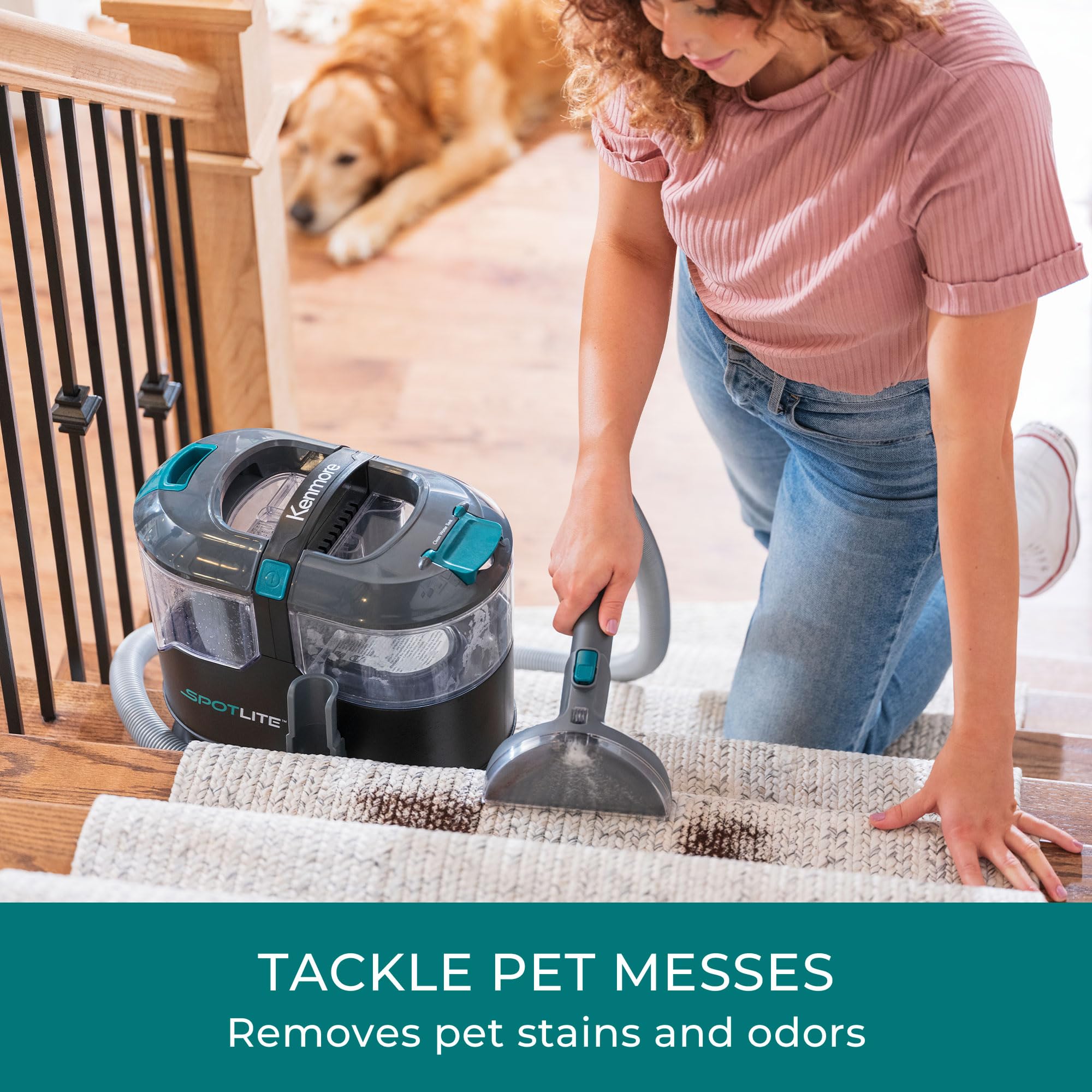 Kenmore KS1010 Deep Clean & Revitalize Pet Carpet Spot Cleaner Formula, 64 Oz for Carpet, Rugs, and Upholstery, Eliminates Pet Stains, Messes and Odors - Image 3